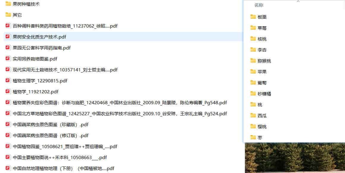 返乡就业之果树种植技术书籍 返乡就业之果树种植技术书籍