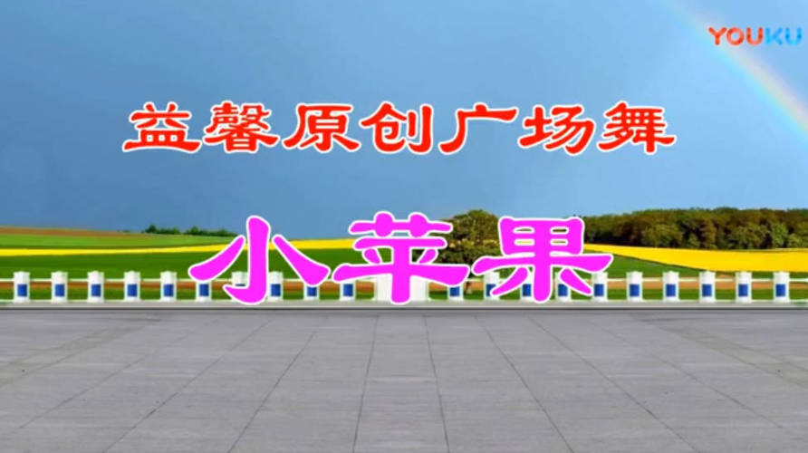 精选高清广场舞视频教学合集500首-极栈网络
